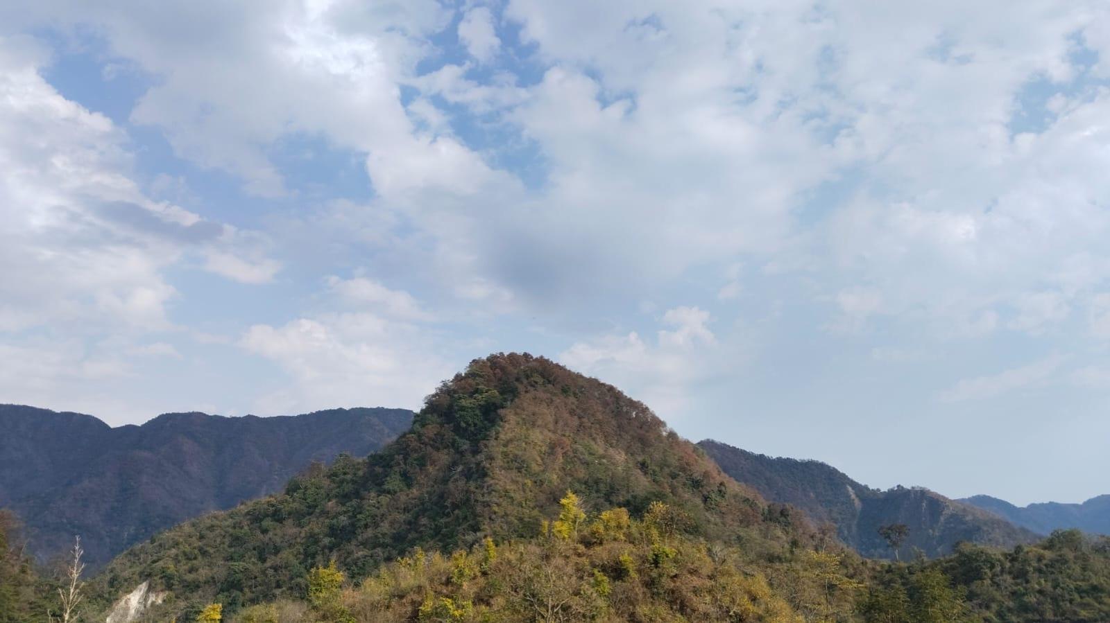 Forested hills and open sky seen from Junegiri Farms
